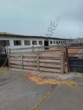 FERMA ZOOTEHNICĂ DE VÂNZARE – ZONA SIBIOARA, JUDEȚUL CONSTANȚA - imagine 3