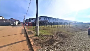 Otopeni, strada Mesteacanului