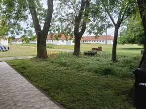 Ferma complet utilată – 30 ha teren comasat Timiș – Comuna Biled - imagine 2