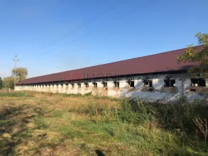 Ferma complet utilată – 30 ha teren comasat Timiș – Comuna Biled - imagine 21