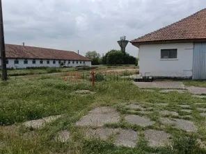 Ferma complet utilată – 30 ha teren comasat Timiș – Comuna Biled - imagine 10