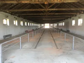 Ferma complet utilată – 30 ha teren comasat Timiș – Comuna Biled - imagine 17