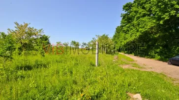 Teren intravilan situat in zona Padurea Baneasa - imagine 4