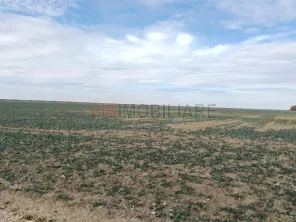 Ferma Agricolă 1.350 HA – Grad de Comasare 96–97%, Județul Arad - imagine 5