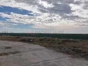 Ferma Agricolă 1.350 HA – Grad de Comasare 96–97%, Județul Arad - imagine 14