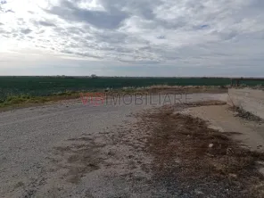 Ferma Agricolă 1.350 HA – Grad de Comasare 96–97%, Județul Arad - imagine 11