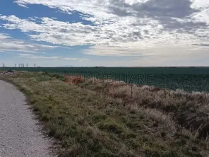 Ferma Agricolă 1.350 HA – Grad de Comasare 96–97%, Județul Arad - imagine 13