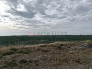 Ferma Agricolă 1.350 HA – Grad de Comasare 96–97%, Județul Arad - imagine 8