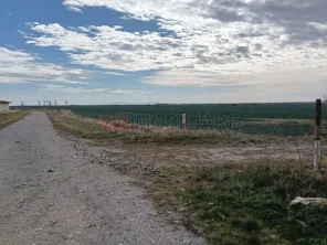 Ferma Agricolă 1.350 HA – Grad de Comasare 96–97%, Județul Arad - imagine 3