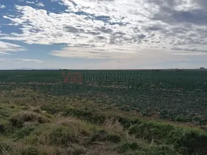 Ferma Agricolă 1.350 HA – Grad de Comasare 96–97%, Județul Arad - imagine 7