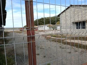 Ferma Agricolă 1.350 HA – Grad de Comasare 96–97%, Județul Arad - imagine 9