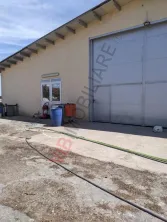 Ferma Zootehnică– Satchinez,9,5,vanzare sau schimb - imagine 5