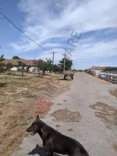 Ferma Zootehnică– Satchinez,9,5,vanzare sau schimb - imagine 4