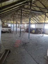 Ferma Zootehnică– Satchinez,9,5,vanzare sau schimb - imagine 3