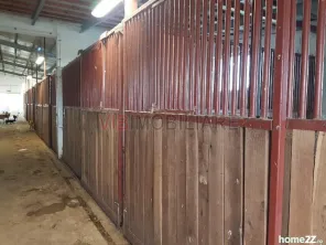 Ferma Zootehnică– Satchinez,9,5,vanzare sau schimb - imagine 15