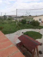 Ferma Zootehnică– Satchinez,9,5,vanzare sau schimb - imagine 16