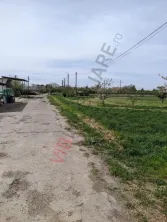 Ferma Zootehnică– Satchinez,9,5,vanzare sau schimb - imagine 2