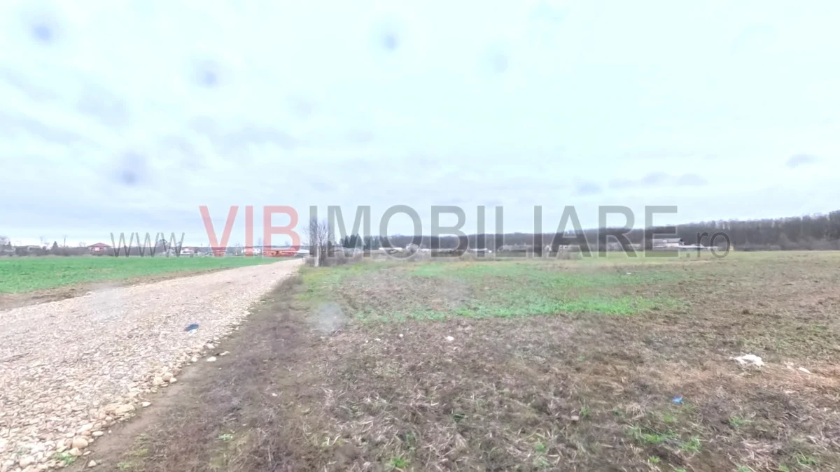 Snagov - Ghermanesti - 9247 mp teren intravilan - deschidere 33 ml - langa padure - imagine 1