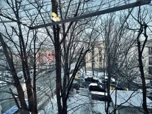 3 Camere - Floreasca - Rahmaninov - Et 2/3 - imagine 4