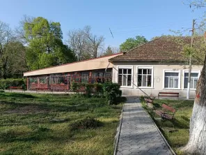 Complex balnear - Calacea - Timis - 15 HA - imagine 16