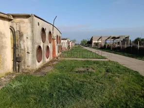 Ferma avicola inchiriere sau vanzare, localitatea Calacea - imagine 5