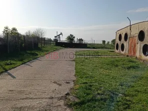 Ferma avicola inchiriere sau vanzare, localitatea Calacea - imagine 7