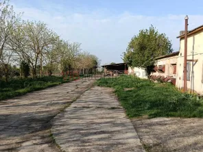 Ferma avicola inchiriere sau vanzare, localitatea Calacea - imagine 6