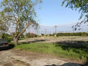 Ferma avicola inchiriere sau vanzare, localitatea Calacea - imagine 4