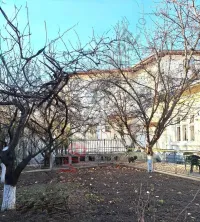 Bucurestii Noi  - Damaroaia - Casa +1, teren 815 mp - imagine 2