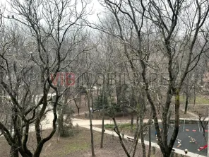 4 Camere - Kiseleff - Piata Victoriei - Park Kiseleff - imagine 5