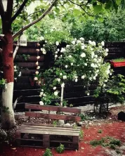 Apartament 2 camere parter curte proprie – Otopeni, zona Odăi (Str. Școlii) - imagine 13