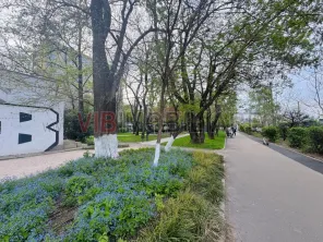 Studio - Plaza Mall - Bd Timisoara - imagine 12