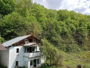Proprietate turistică | Fost hotel | Teren 8900 mp | Aproape de Dunăre - imagine 4