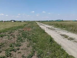 Terenuri de vânzare | Săcălaz|  oportunități investiționale - imagine 6