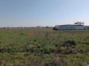 Terenuri de vânzare | Săcălaz|  oportunități investiționale - imagine 3