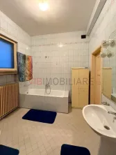 UNIRII-MIRCEA VODA, apartament in vila interbelica, 6 camere, 190 mp - imagine 8