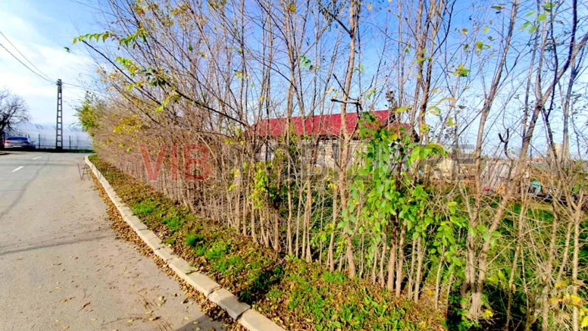 Casa cu teren generos in Mosneni – oportunitate excelenta pentru locuinta sau investitie - imagine 1