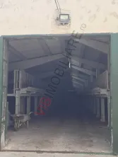 *Fermă modernă export miei | 6 ha | Standarde europene ,Brăila* - imagine 9