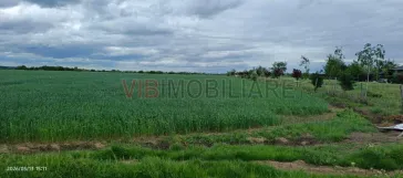 Teren Intravilan 31.900 mp, Corbeanca – Deschidere 70 ml, Zonă Rezidențială, Ideal Investiție - imagine 3