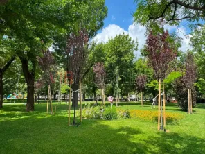 Studio - Bloc Nou - Obor - Avrig - imagine 11