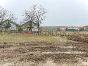 Teren intravilan de vanzare in Snagov – Ciofliceni - imagine 5