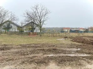 Teren intravilan de vanzare in Snagov – Ciofliceni - imagine 5