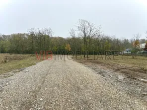 Teren intravilan de vanzare in Snagov – Ciofliceni - imagine 7