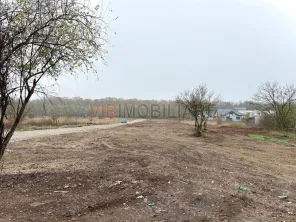 Teren intravilan de vanzare in Snagov – Ciofliceni - imagine 2