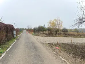 Teren intravilan de vanzare in Snagov – Ciofliceni - imagine 4