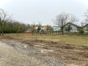 Teren intravilan de vanzare in Snagov – Ciofliceni - imagine 6