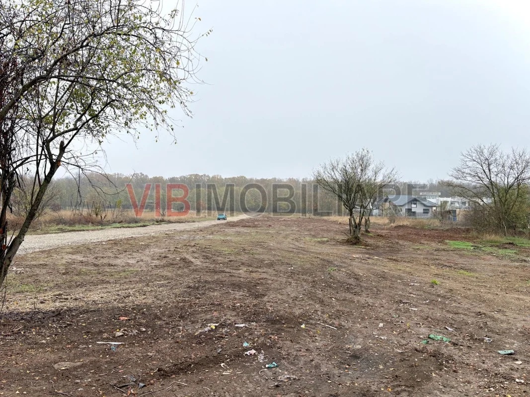 Teren intravilan de vanzare in Snagov – Ciofliceni - imagine 1