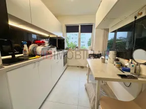 3 Camere - Ion Mihalache - Popisteanu - imagine 13