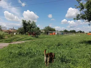 Afacere de vânzare: Fermă Avicola – Ialomița - imagine 6