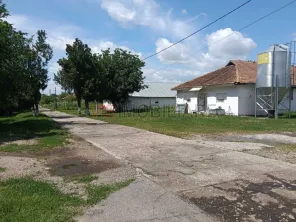 Afacere de vânzare: Fermă Avicola – Ialomița - imagine 7
